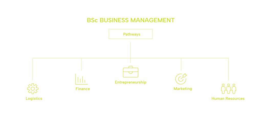 BSc Business Management Pathways