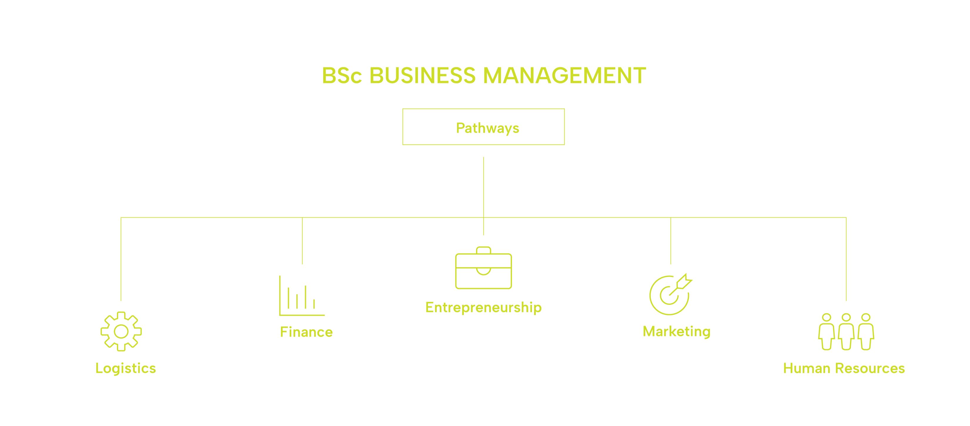 Business Management Module BSc Business Management - GISMA