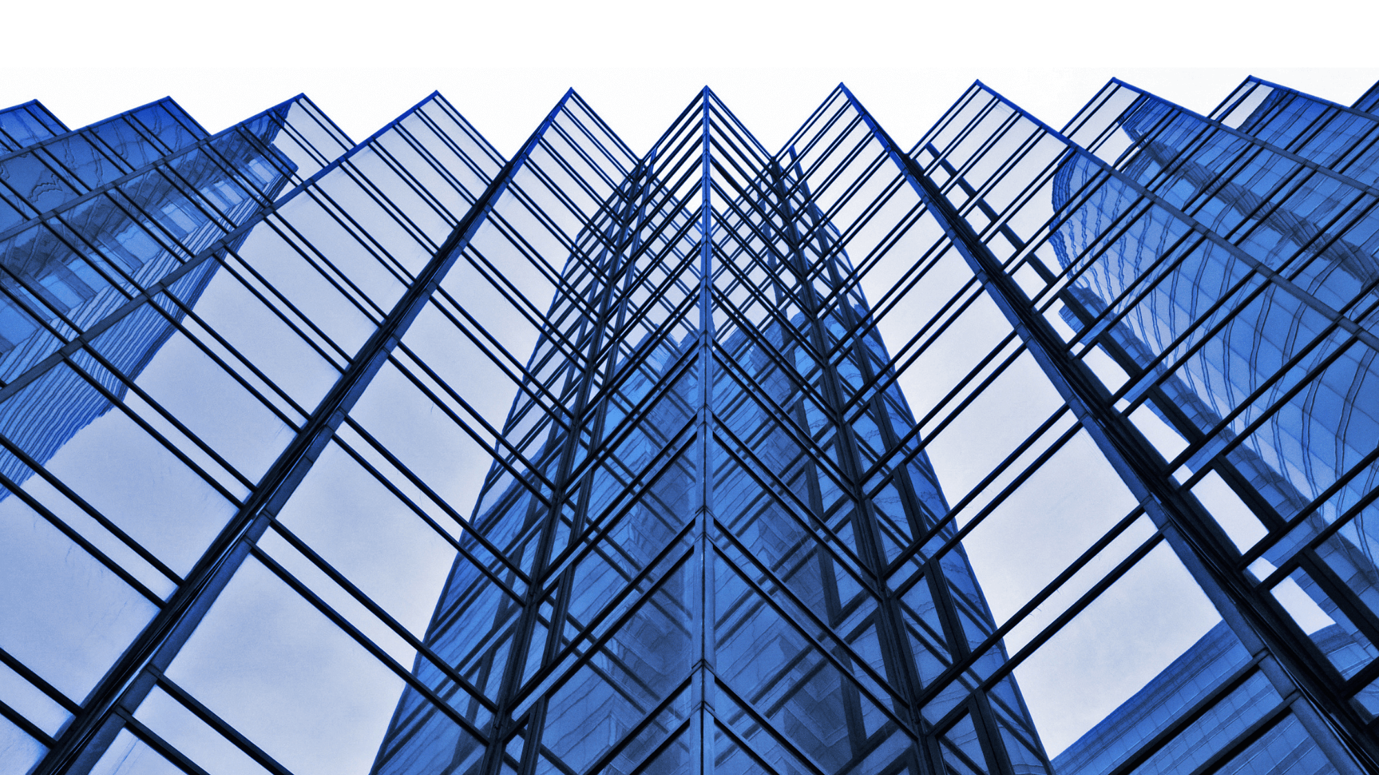 MSc International Business Management Double Degree