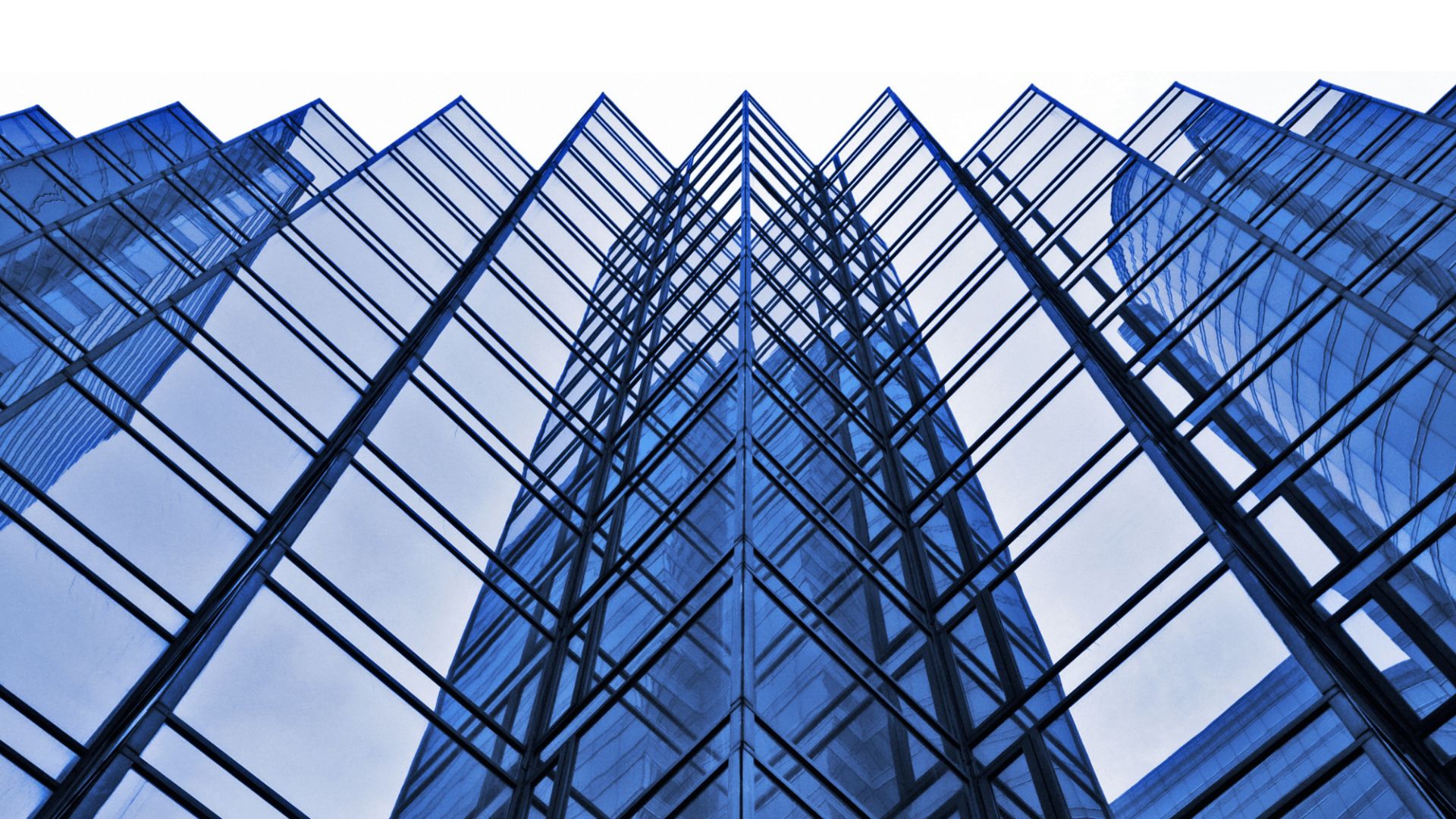 MSc International Business Management Double Degree