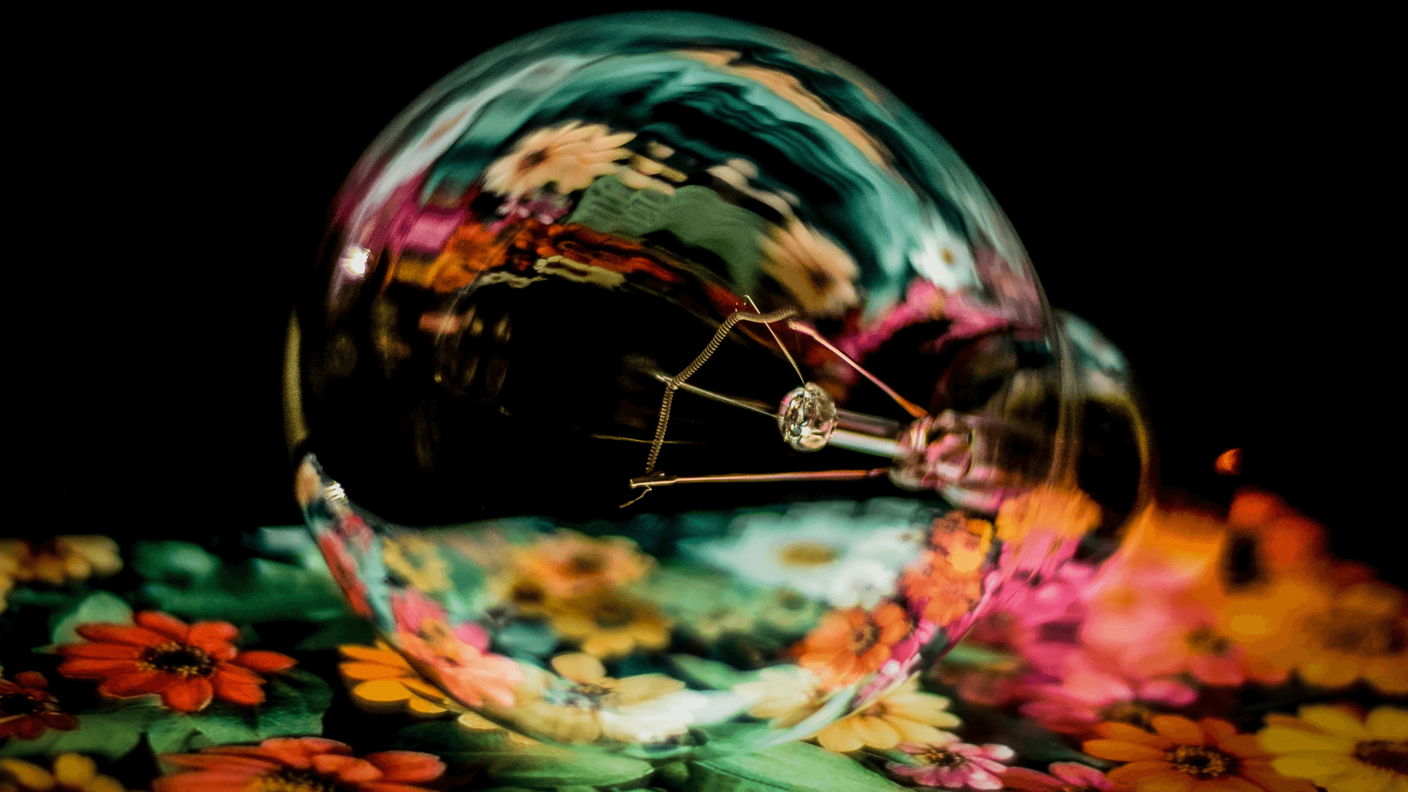 bsc business management & entrepreneurship