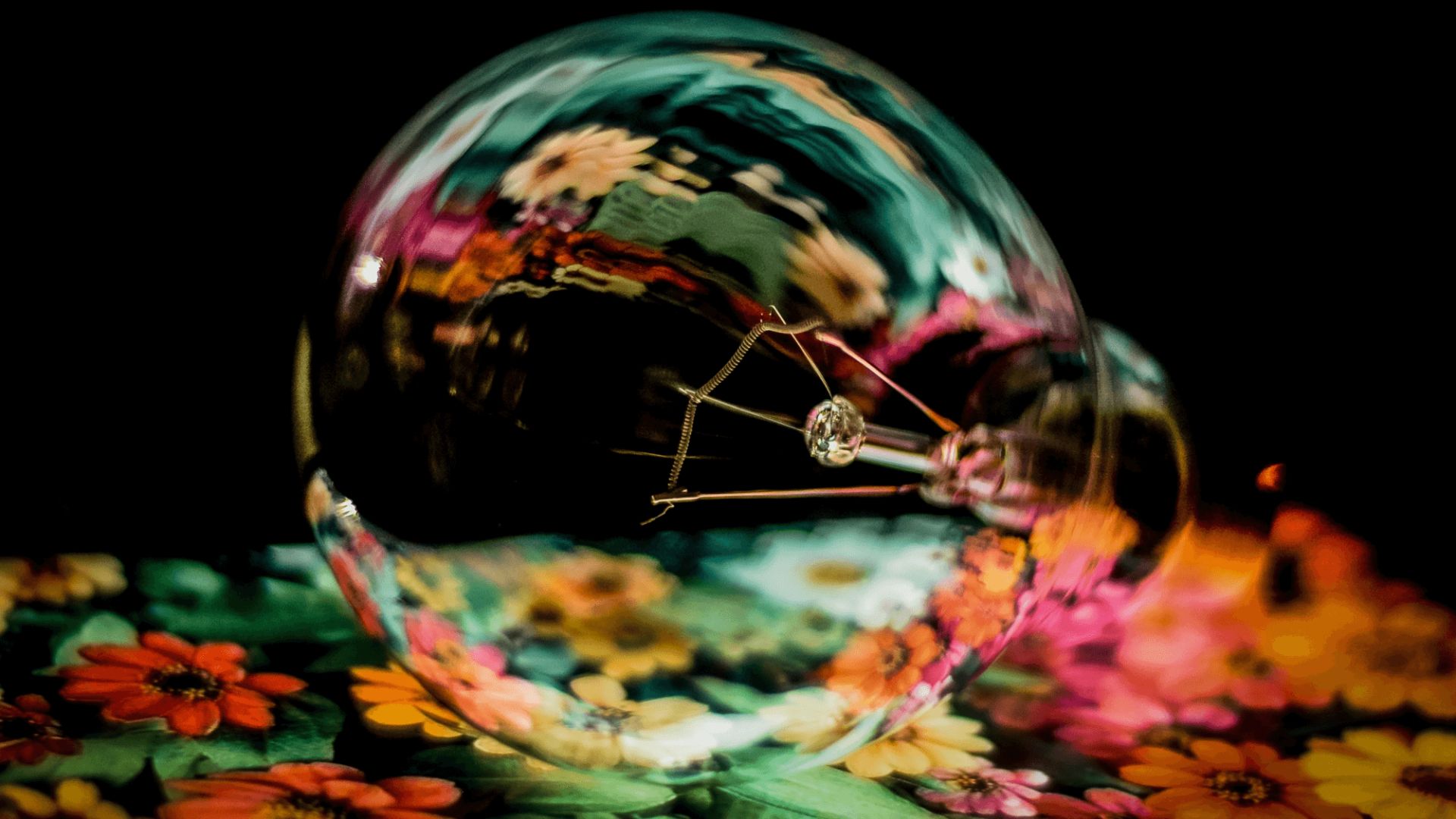 bsc business management & entrepreneurship