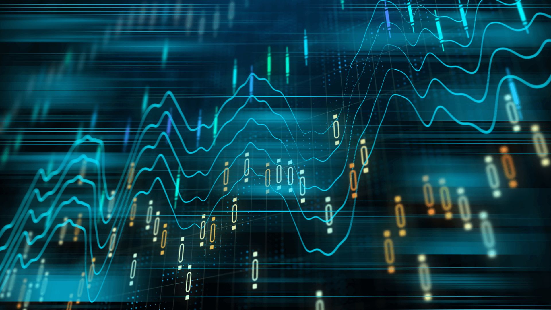 bsc business management & finance