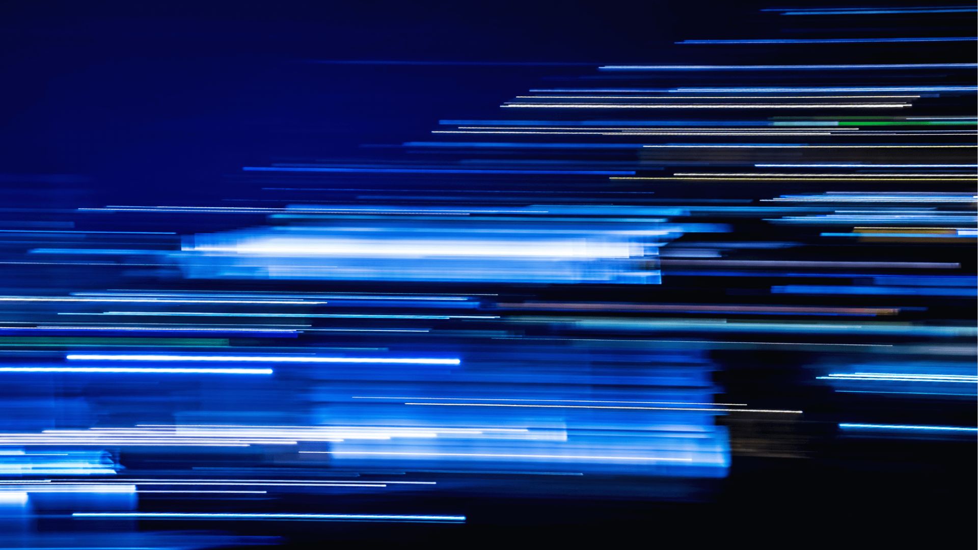 msc business management & project management