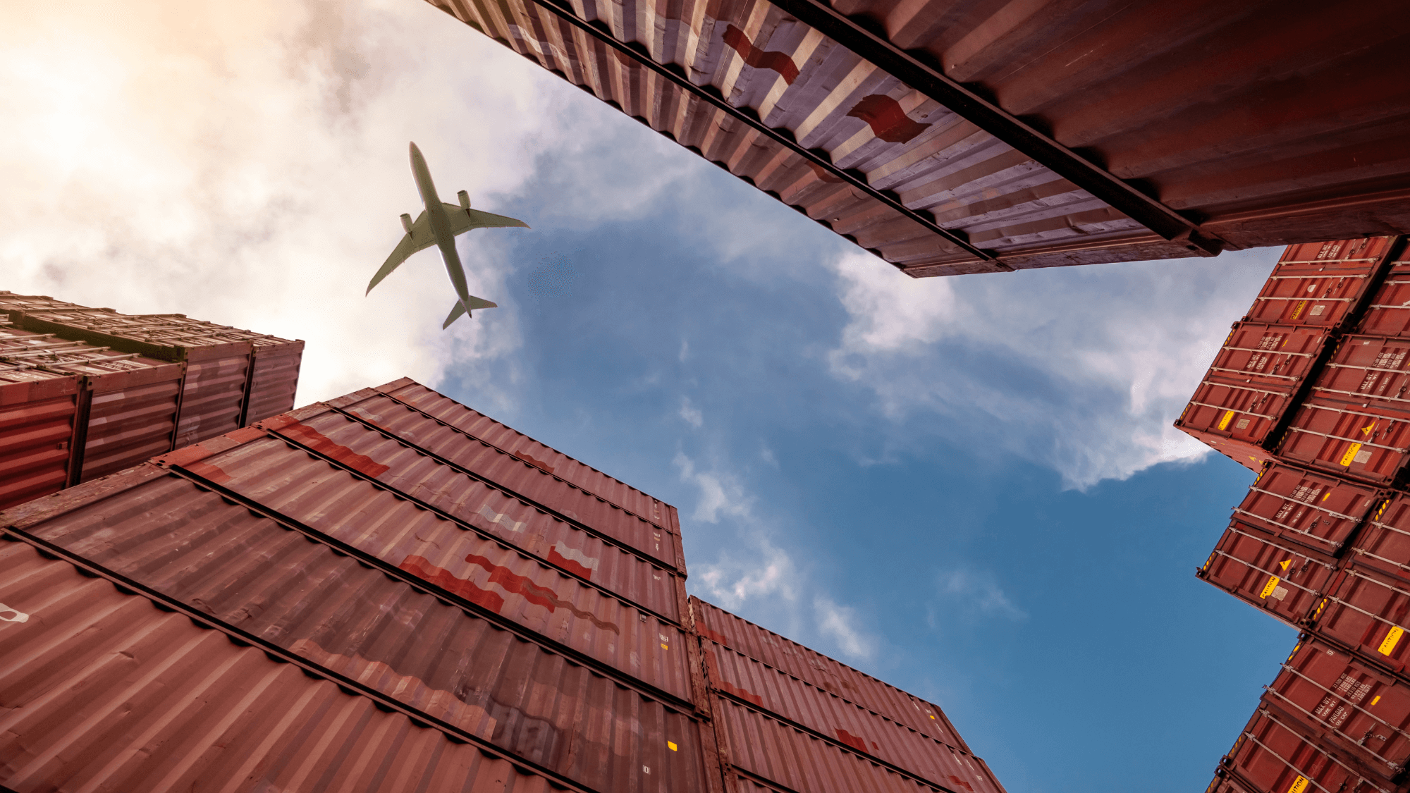 bsc business management & logistics