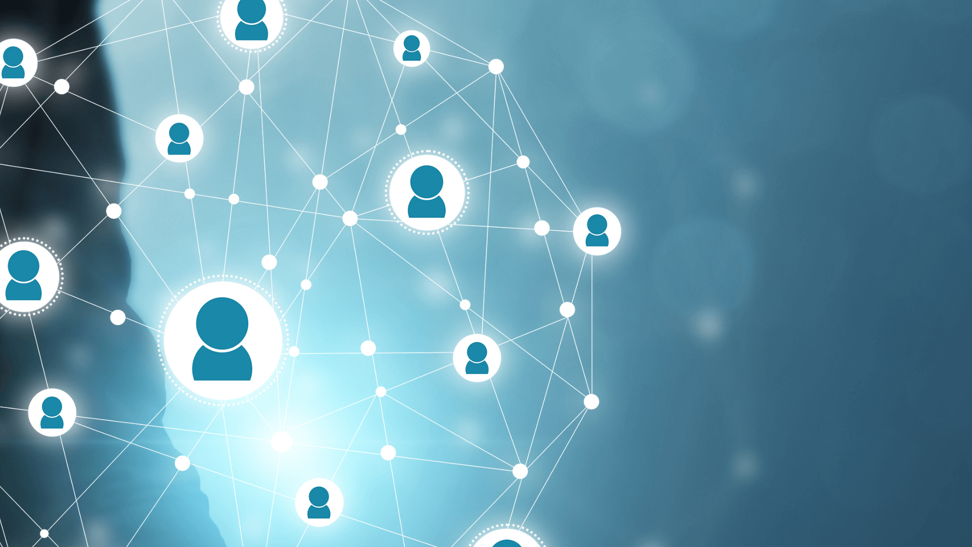 msc business management & human resources