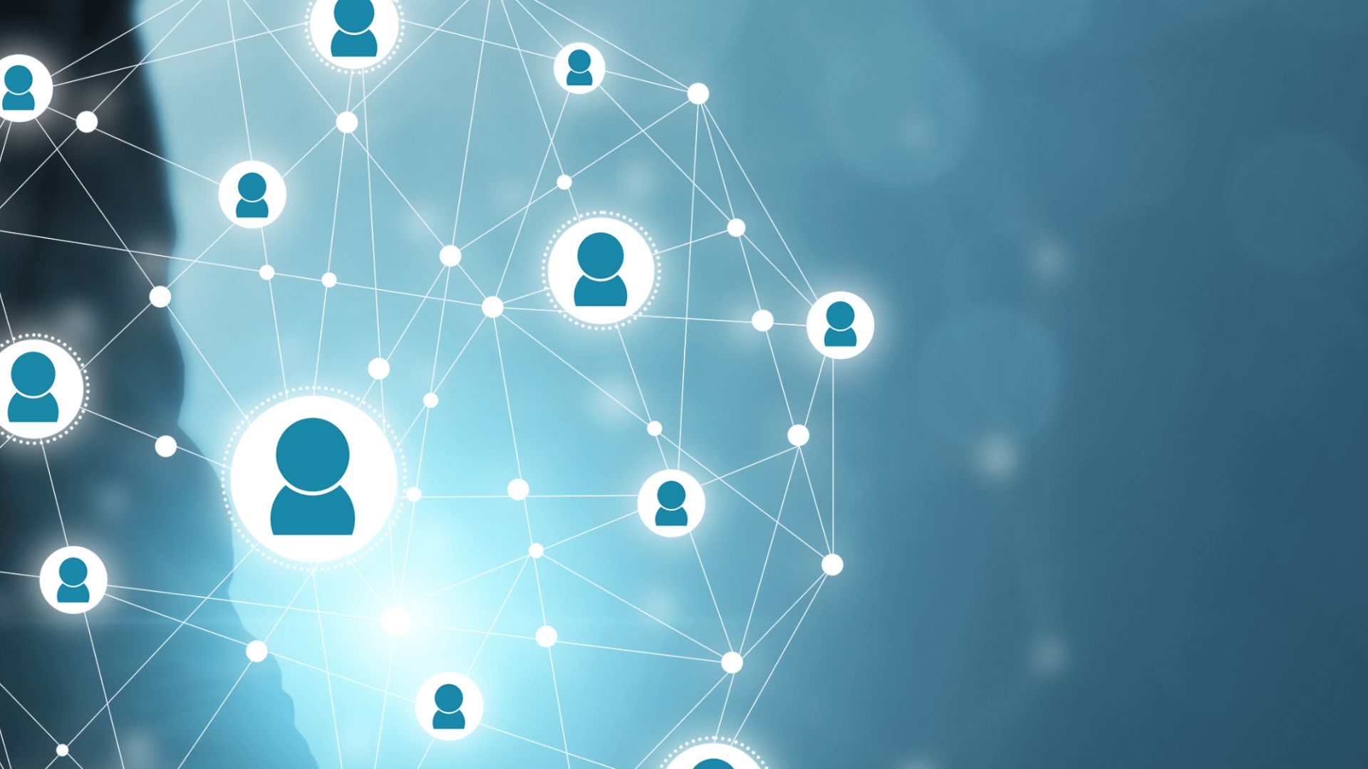 msc business management & human resources