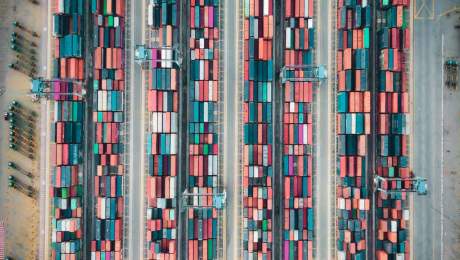 msc supply chain management